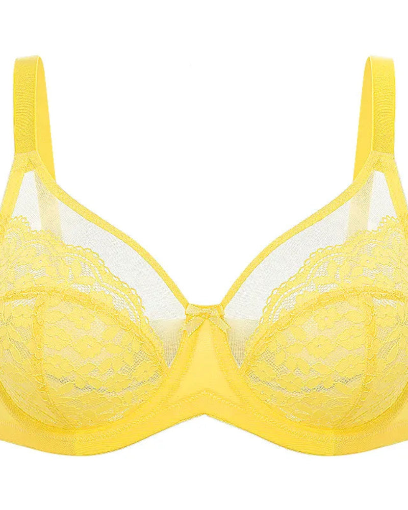 Floral lace shaping plus size bra