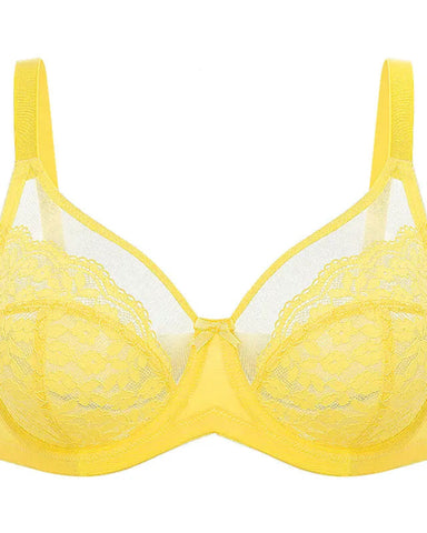 Floral lace shaping plus size bra