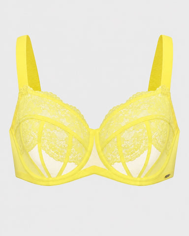 Blossom Corset Lace Unlined Minimizer Bra